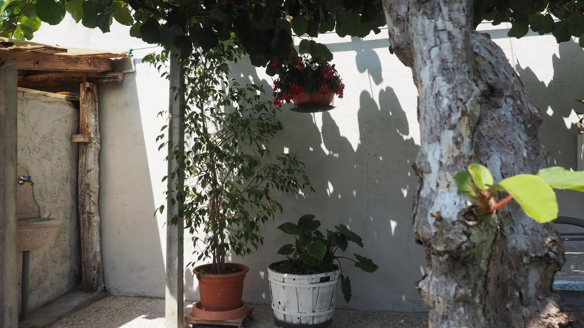 Διαμέρισμα Ferienwohnung Mit Terrasse Und Seeblick Und Garten Gravedona Ιταλία